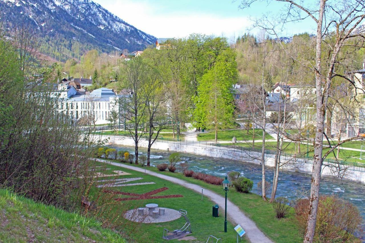 Narzisse - Im Kurpark *